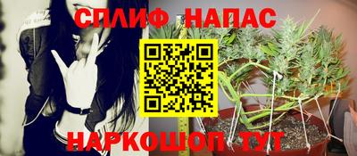 МДПВ Вязники