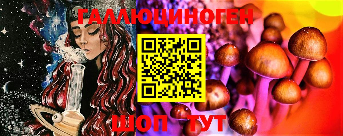 Северск  где продают наркотики  Вход с VPN  Псилоцибиновые грибы мицелий 